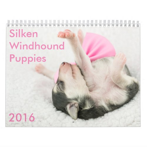 5 2016 Silken Windhound Puppies Calendar