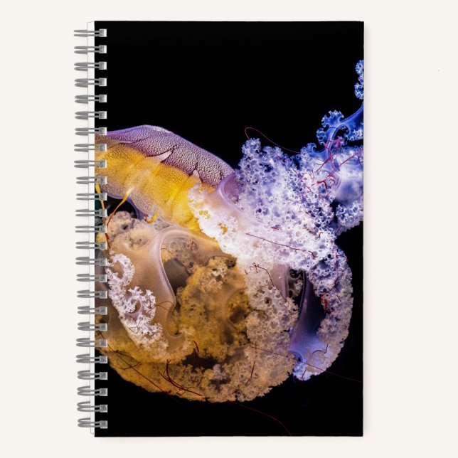 5.5" x 8.5" Spiral Noteboook Notebook (Front)