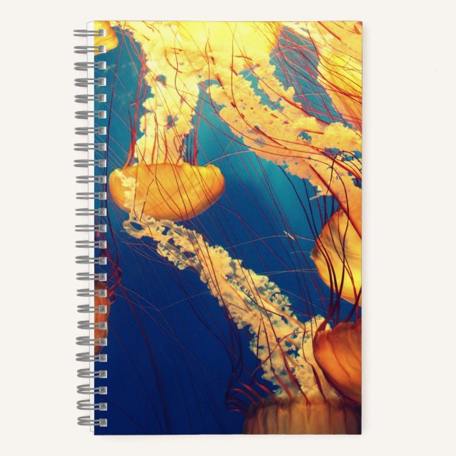 5.5" x 8.5" Spiral Noteboook Notebook (Front)