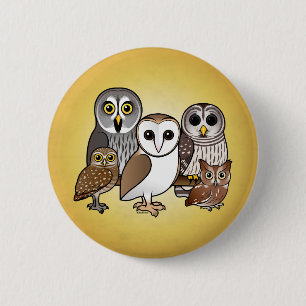 5 Birdorable Owls Button