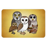 whatsyoursign screech owl