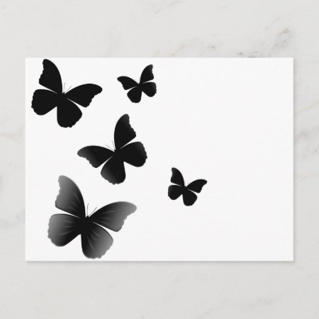 5 Black Butterflies Postcard