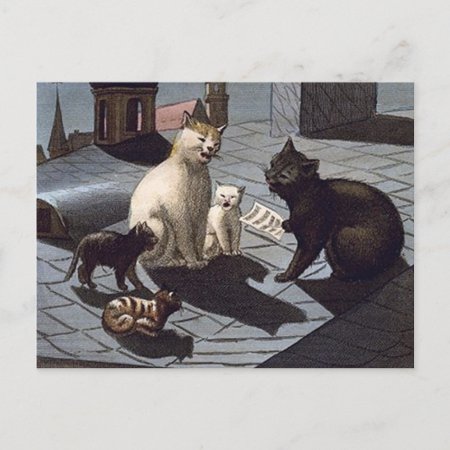 5 Cats With Music Sheet Singing On A Roof At Night Postcard