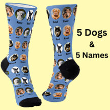 5 Dogs, 5 Names, Dog Photo - Personalized Blue