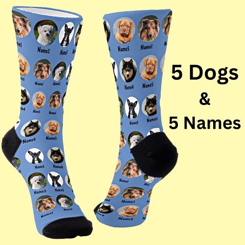 5 Dogs 5 Names Dog Photo _ Personalized Blue  Socks