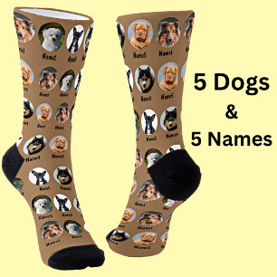 5 Dogs, 5 Names, Dog Photo - Personalized Brown Socks