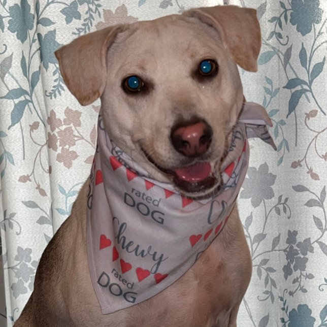 5 Heart rated Dog Bandana (Creator Uploaded)