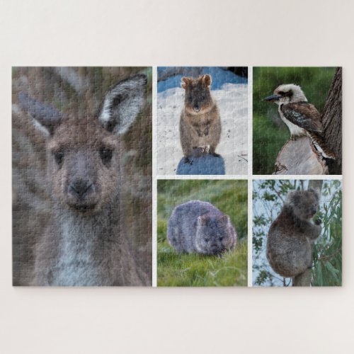 5_in_1 Animals of Australia 1014 pieces Jigsaw Puzzle