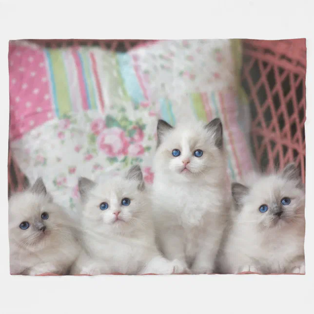 5 KITTENS FLEECE BLANKET Zazzle