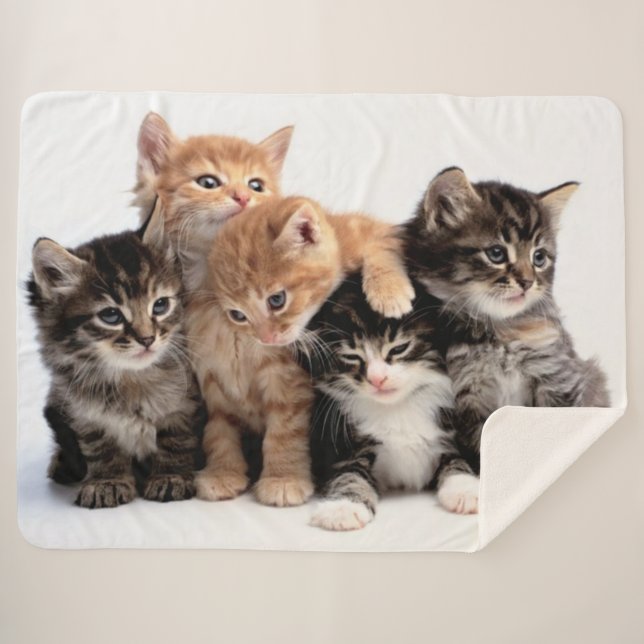 5 LITTLE KITTENS SHERPA BLANKET (Front (Horizontal))