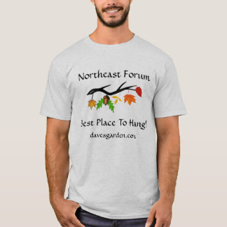#5  Northeast Forum: Best Place - brighter leaves T-Shirt