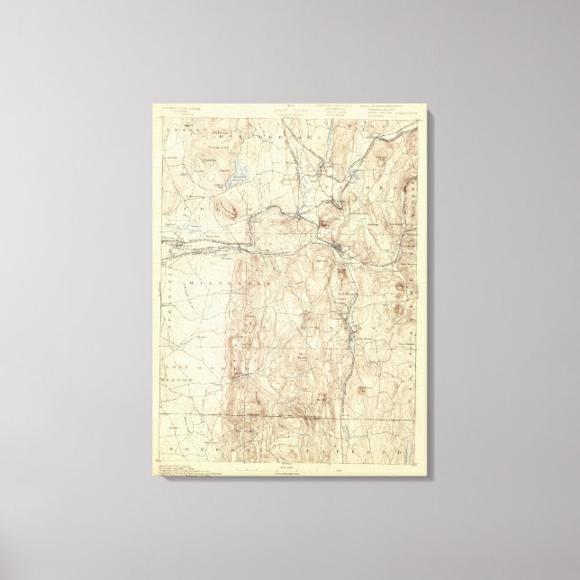 5 Palmer sheet Canvas Print (Front)