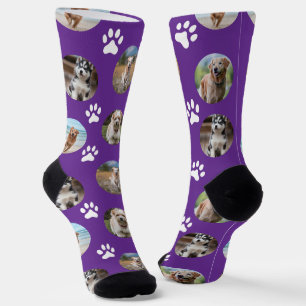 5 Pet Photo Collage Template Make Your Own Purple Socks