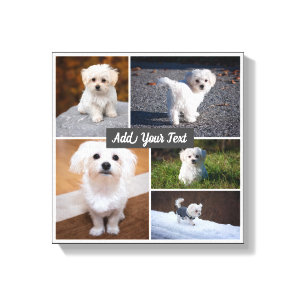 5 Photo Collage Custom Named Gray Canvas Print. Print