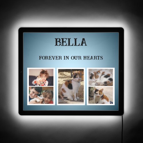 5 photo pet cat memory in our hearts blue LED sign