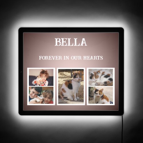 5 photo pet cat memory in our hearts burgundy LED sign