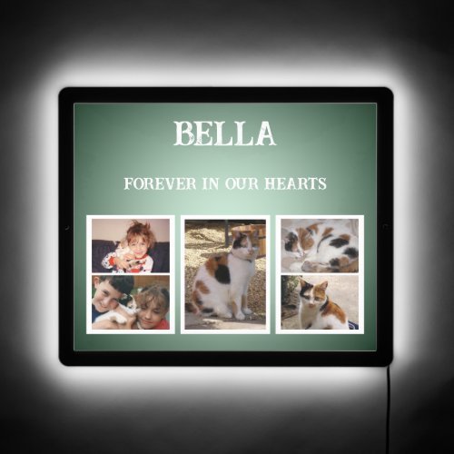5 photo pet cat memory in our hearts green LED sign
