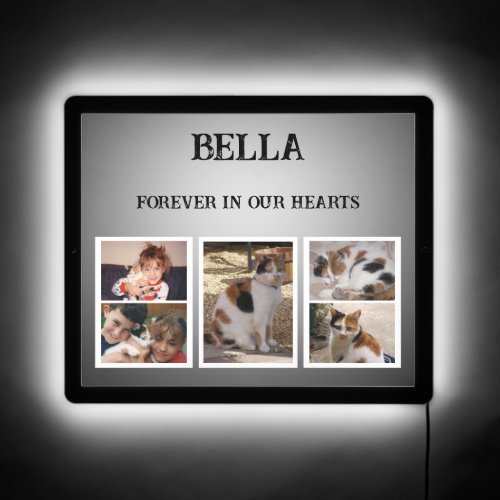 5 photo pet cat memory in our hearts grey LED sign