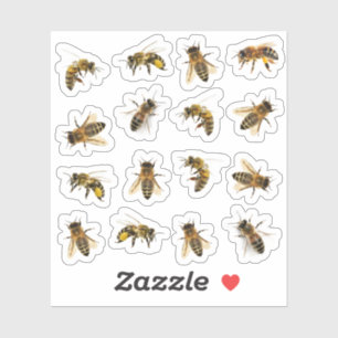 5 Realistic Honeybees on 16 Vinyl Stickers