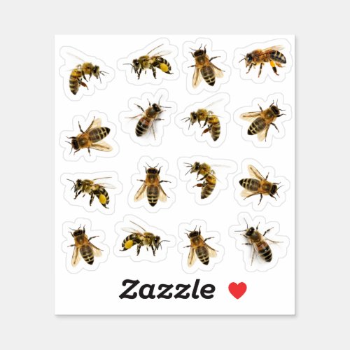 5 Realistic Honeybees on 16 Vinyl Stickers 