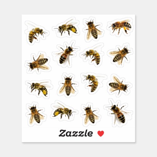 5 Realistic Honeybees on 16 Vinyl Stickers 