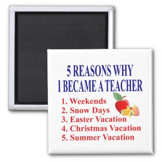 5 Reasons I Became A Teacher Funny Magnet magnet