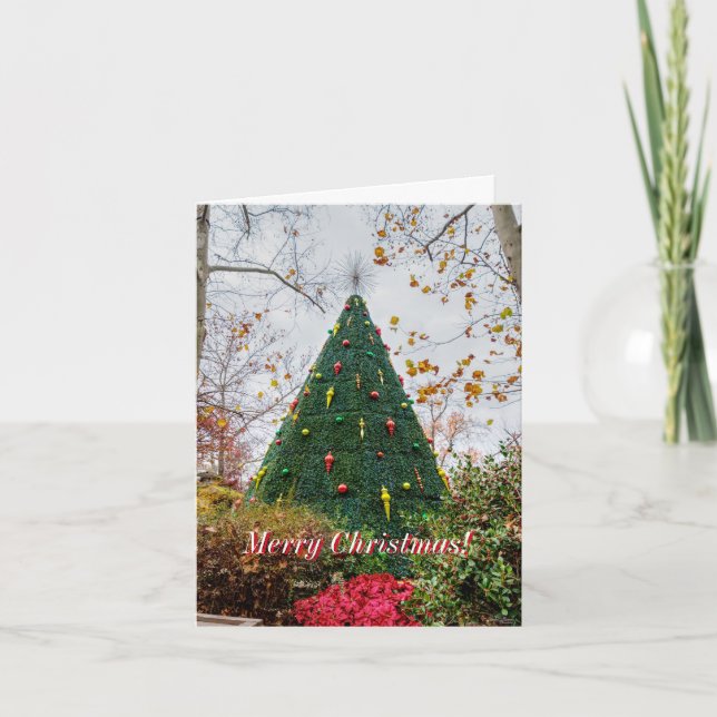 5 Story SDC Tree Christmas Card (Front)