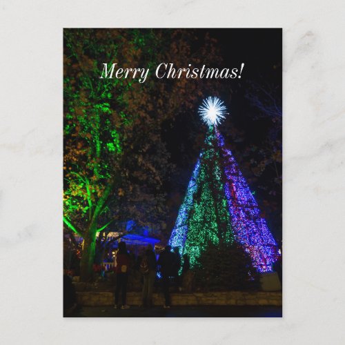 5 Story Sdc Tree Night Christmas Postcard