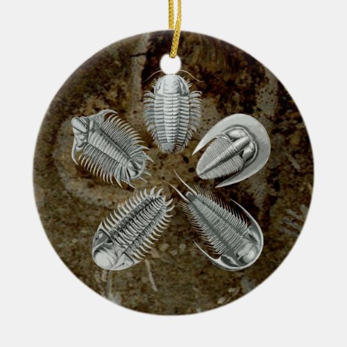5 Trilobites Ornament