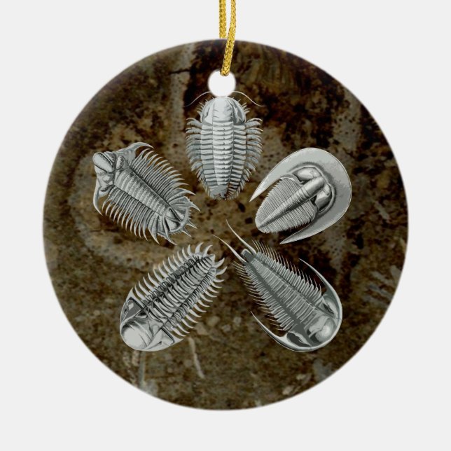 5 Trilobites Ornament (Front)
