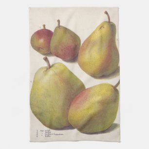 5 vintage pears illustrated kitchen towel