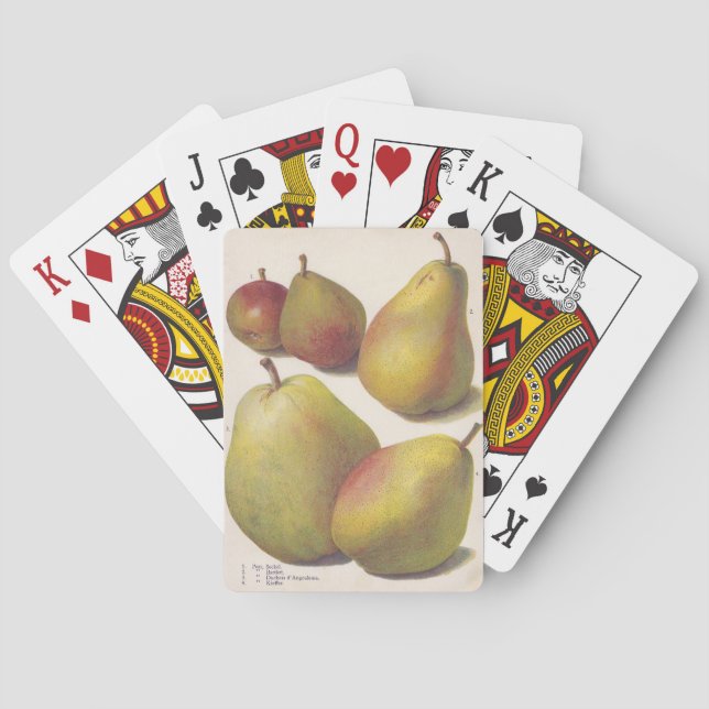 5 vintage pears illustrated poker cards (Back)
