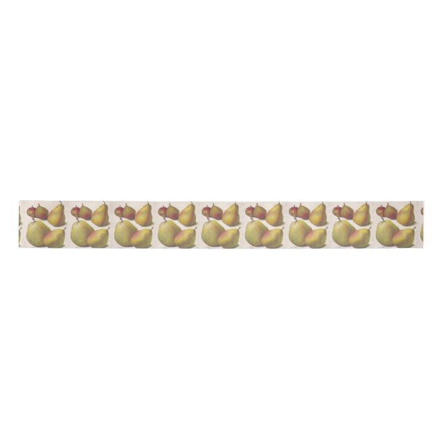 5 vintage pears illustrated satin ribbon (Front)