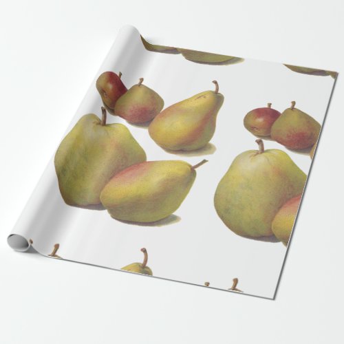 5 vintage pears illustrated wrapping paper