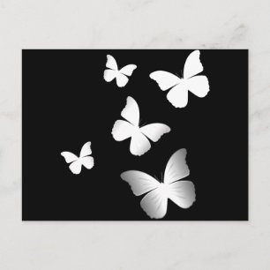 5 White Butterflies Postcard