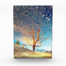 5"x7" Acrylic Photoblock || Cherry Tree Puddle