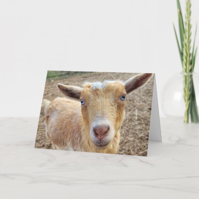 5"x7" Folded Card-h || Ginger Letterpress Thank You Card (Front)