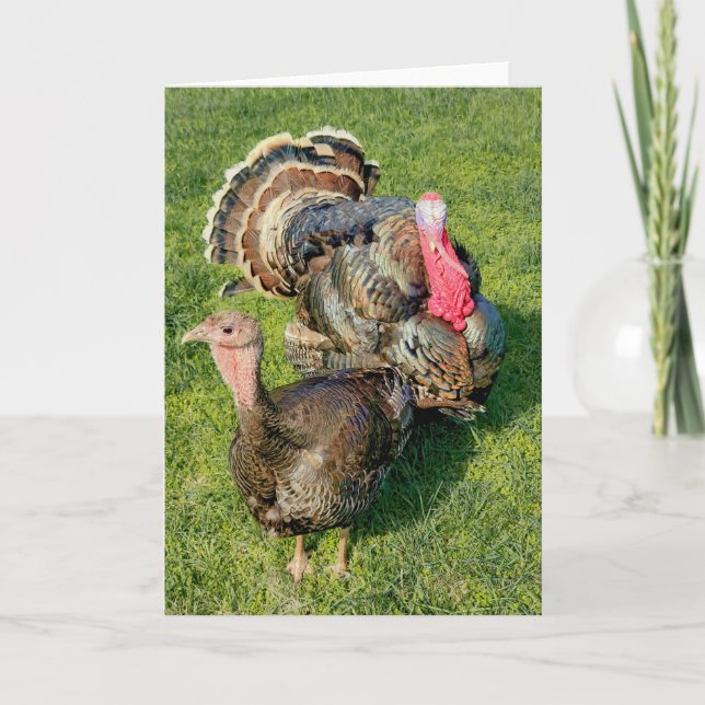 5"x7" Folded Card || Thomas & Henrietta (Front)