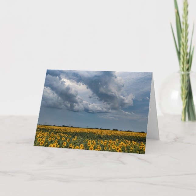 5 x 7 Blank Note Card Set (Front)