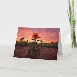 5 x 7 Blank Note Card Set