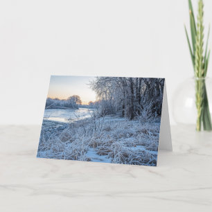 5 x 7 Blank Note Card Set