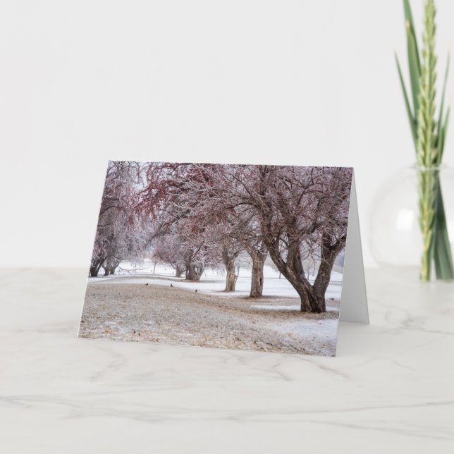 5 x 7 Blank Note Card Set (Front)