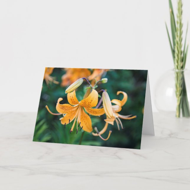 5 x 7 Blank Note Card Set (Front)