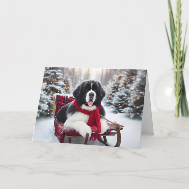 5" x 7" Folded Holiday Card Landseer Newfoundland (Front)