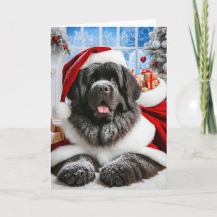 5" x 7" Folded Newfoundland Dog Santa Card