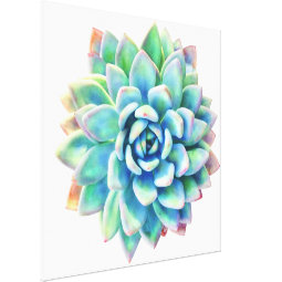 5ft x 5ft extra large succulent canvas print | Zazzle