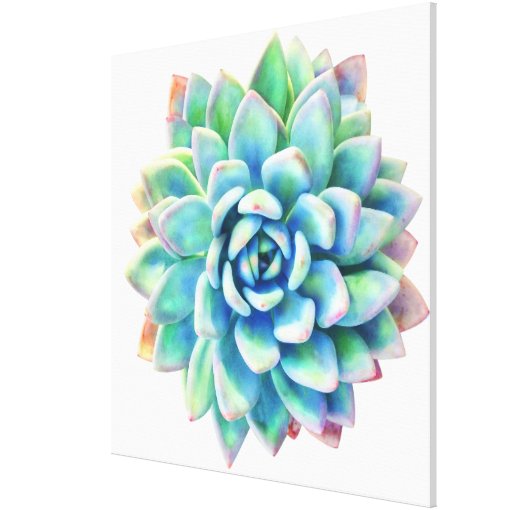 5ft x 5ft extra large succulent canvas print | Zazzle