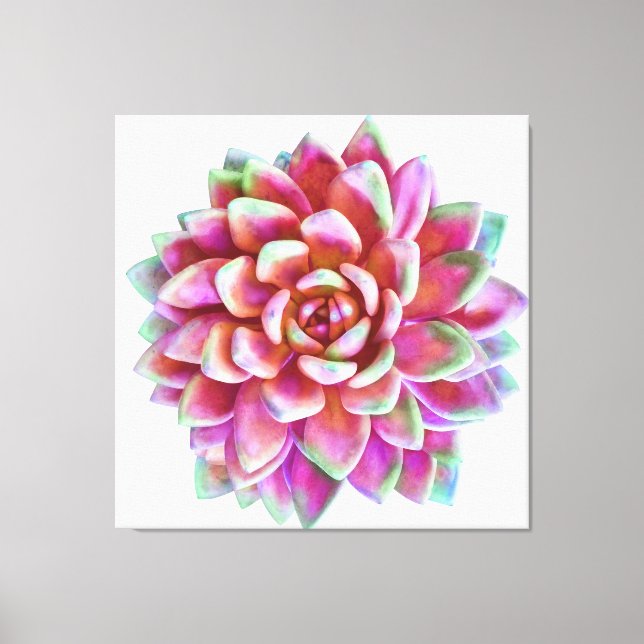5ft x 5ft extra large succulent canvas print (Front)