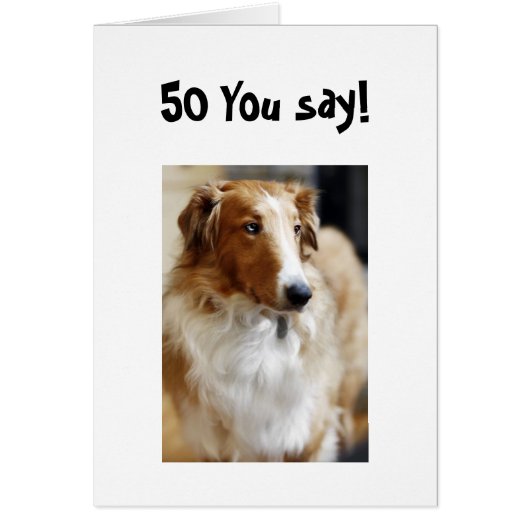 5O YOU SAY! CARDS (Front)