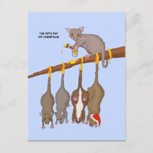 5th Day of Christmas (5 Golden Rings) Postcard